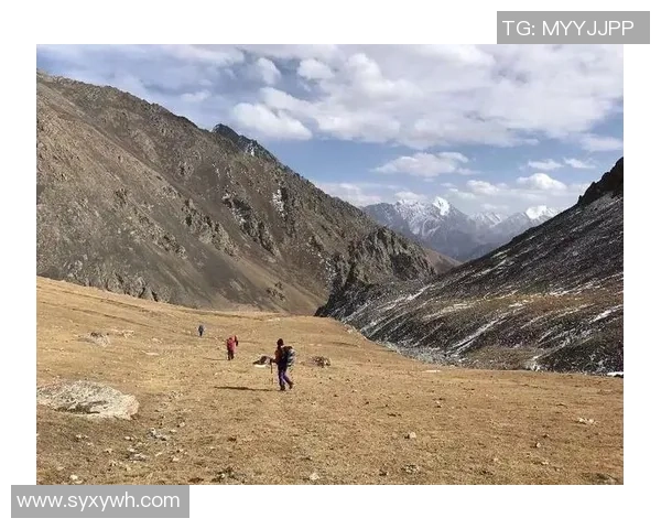 足球巨星Love：从草根到巅峰的传奇之路与未来展望